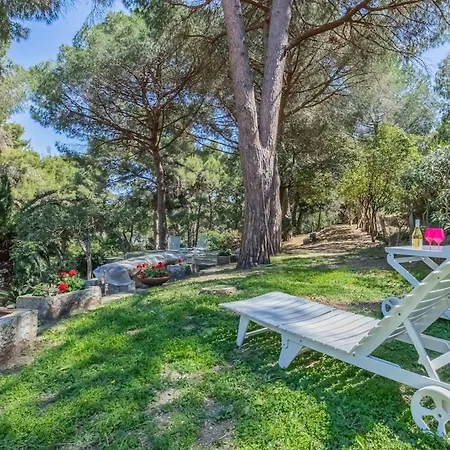 Thalea Villa *