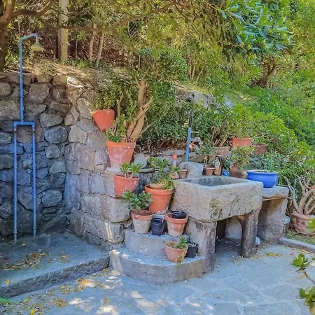 Thalea Villa Fetovaia